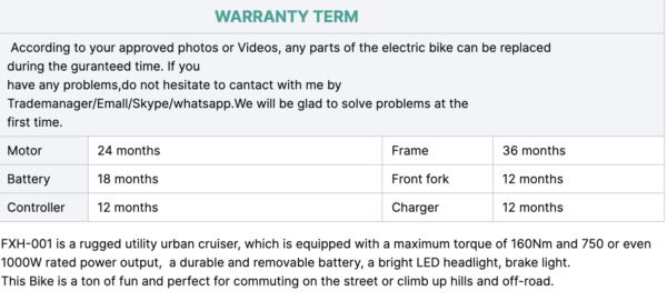 10X Bikerexx Alpha1 (ebike) - Image 7